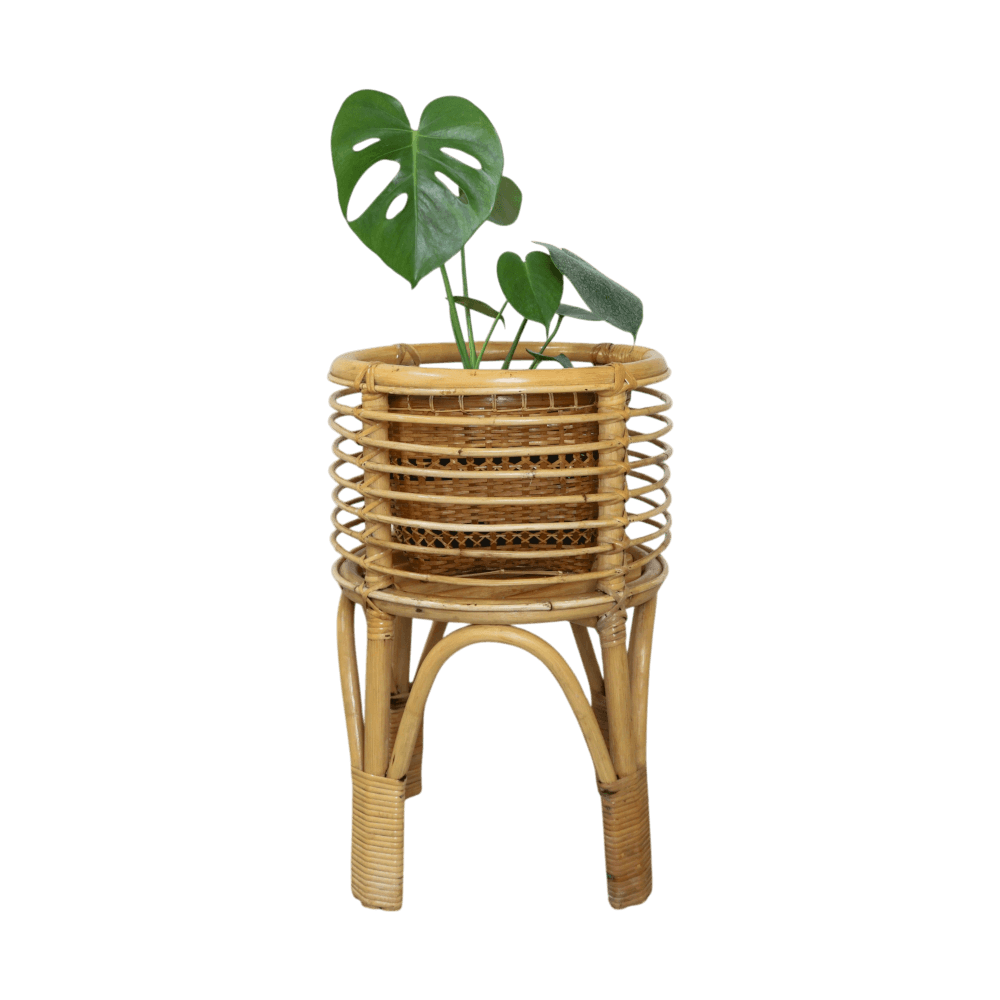 กระถางหวายแท้ พร้อมขาตั้ง PISAMAI รุ่น SIMBA PLANTSTAND สไตล์ TROPICAL ขนาด 35*35*55 ซม. สีธรรมชาติ_0
